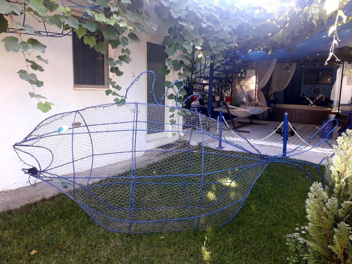 קוסטינסטי Casa Babica Guesthouse מראה חיצוני תמונה