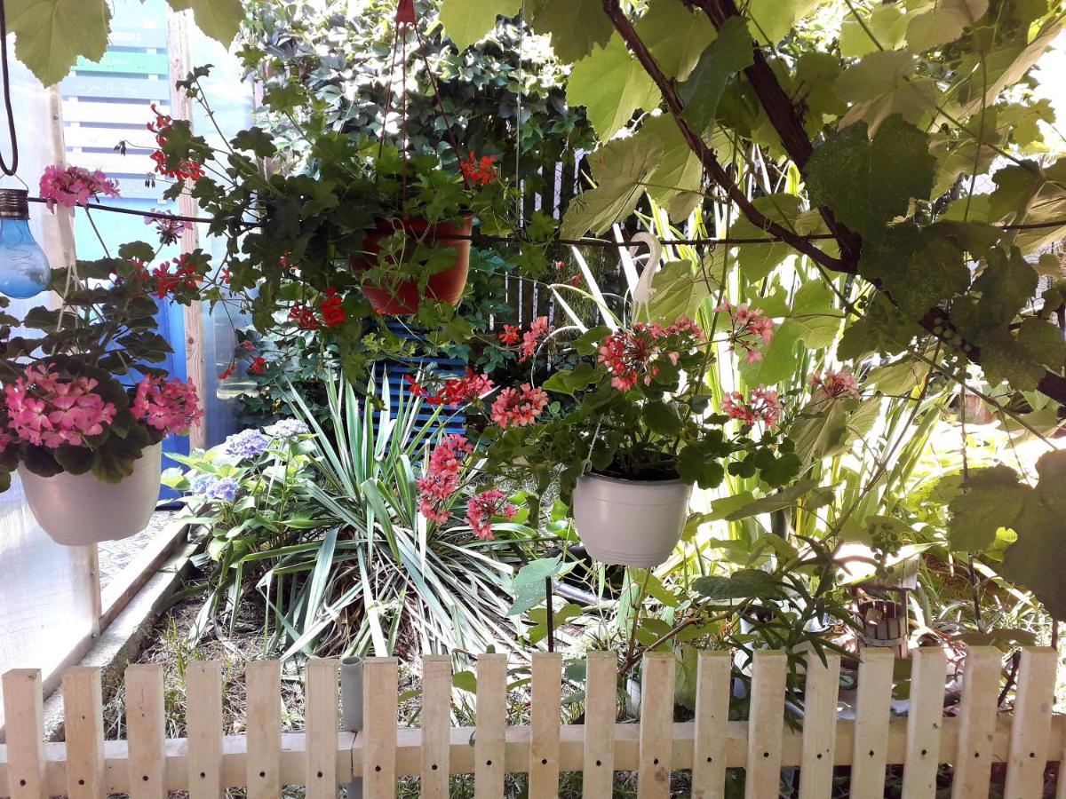 קוסטינסטי Casa Babica Guesthouse מראה חיצוני תמונה