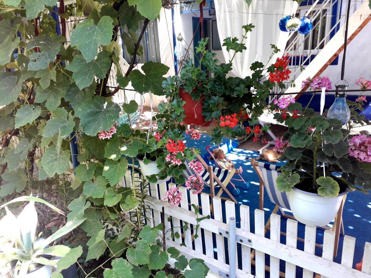 קוסטינסטי Casa Babica Guesthouse מראה חיצוני תמונה