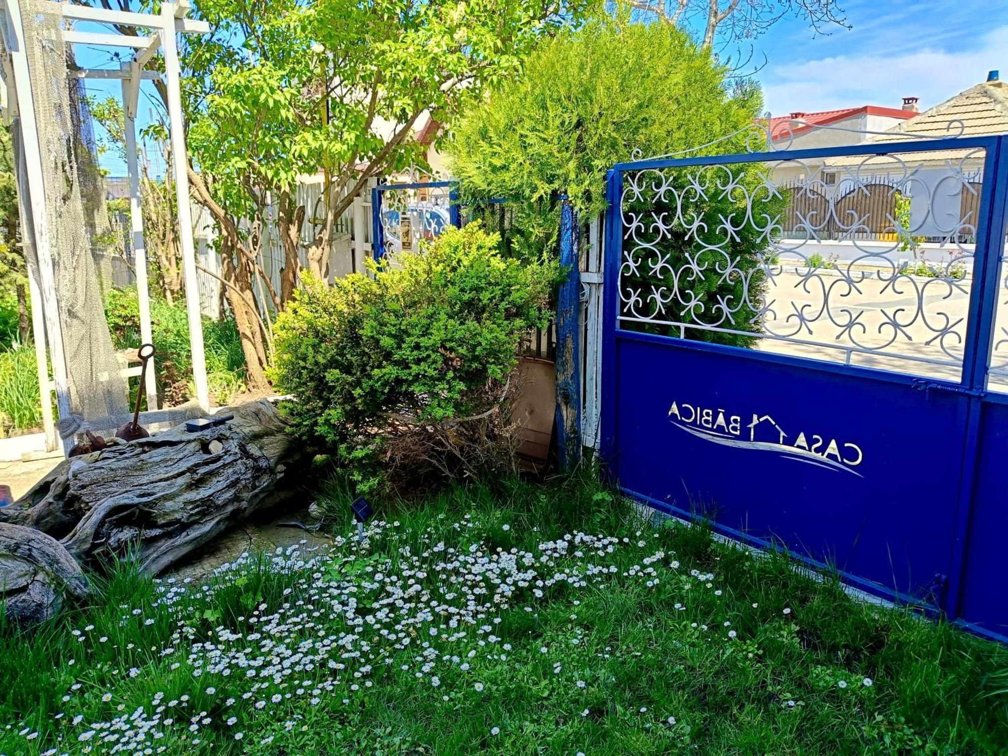 קוסטינסטי Casa Babica Guesthouse מראה חיצוני תמונה