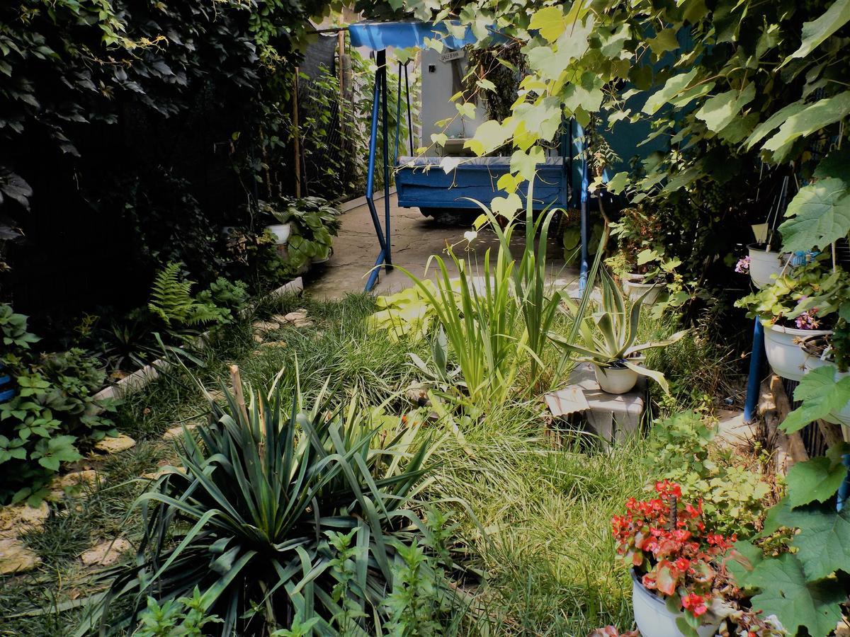 קוסטינסטי Casa Babica Guesthouse מראה חיצוני תמונה